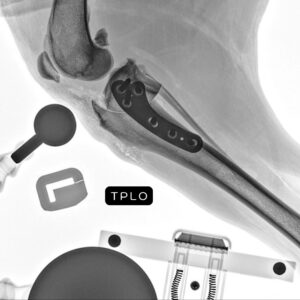 Caso TPLO Tibia 3 caso-tplo3