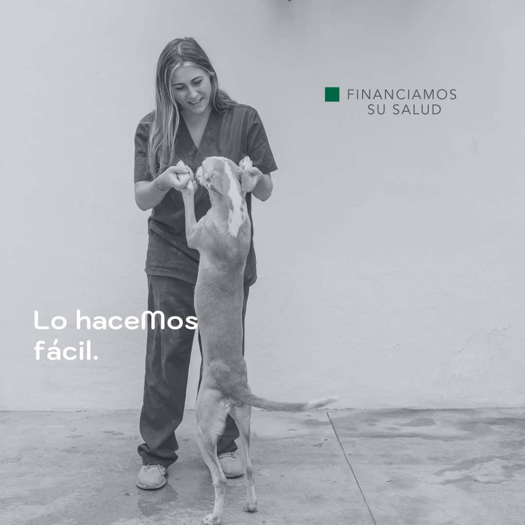 veterinarios-en-Alicante