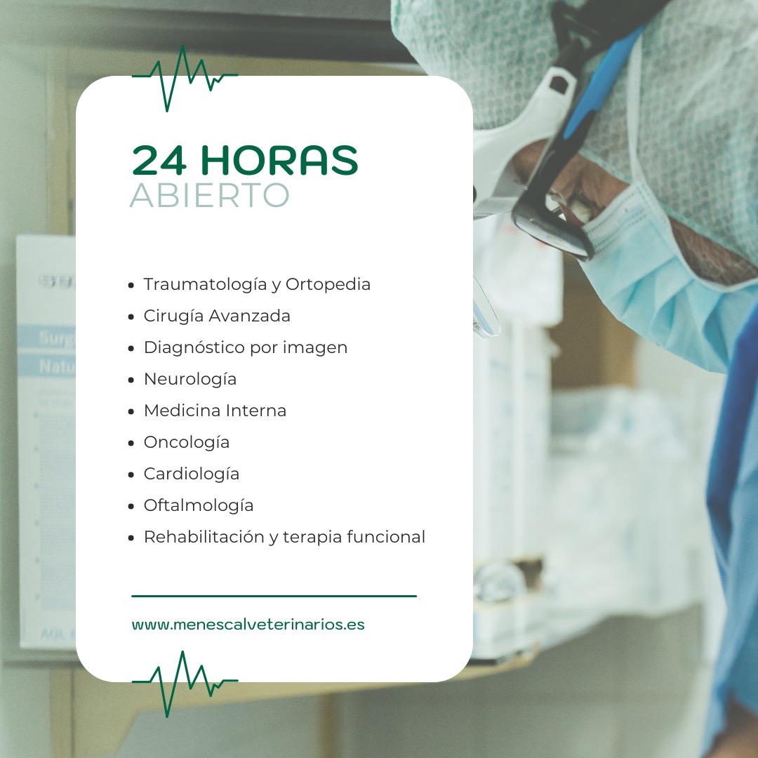 hospital-veterinario-alicante