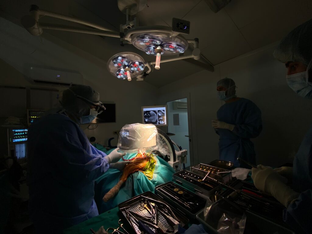 Cirugía de displasia de cadera por el equipo de Menescal Veterinarios
